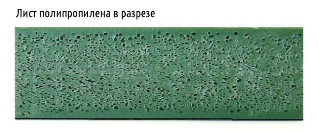 Лист полипропилена в разрезе